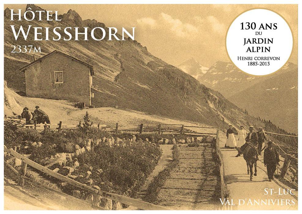 Hôtel Weisshorn sur St-Luc 2337m Saint-Luc Exterior foto